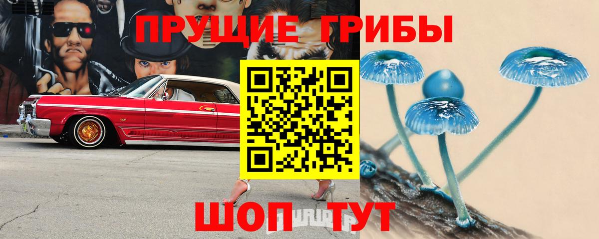 Псилоцибиновые грибы GOLDEN TEACHER Ликино-Дулёво